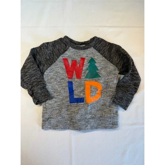 Toddler Boys Old Navy Wild One Holiday Ranglan Heathered Sweater‎ - Sz 2T
