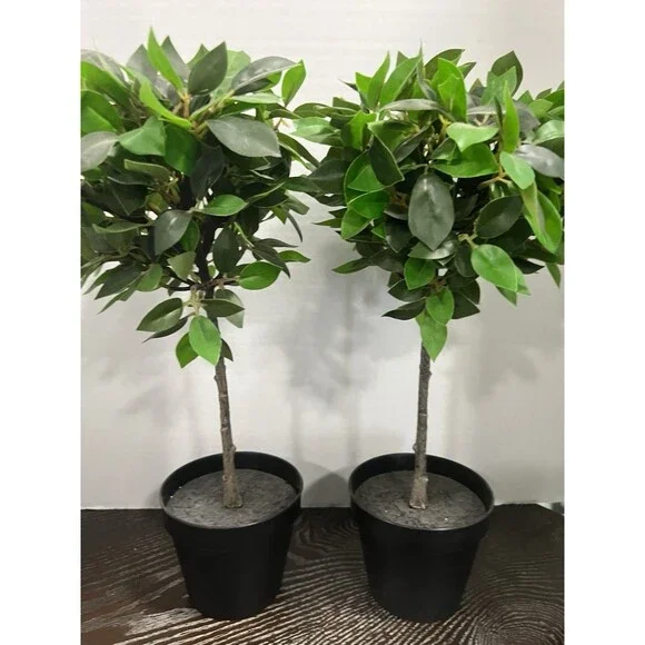 2 IKEA FEJKA Artificial Potted Plant Weeping Fig Stem 17