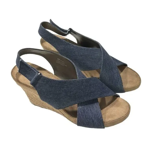 Aerosoles |  