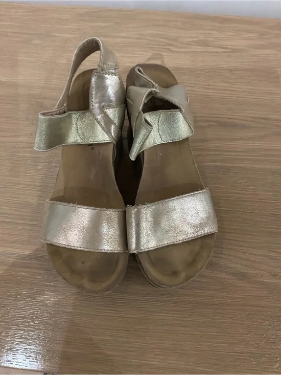 Pierre Dumas Metallic Gold Wedge Sandals