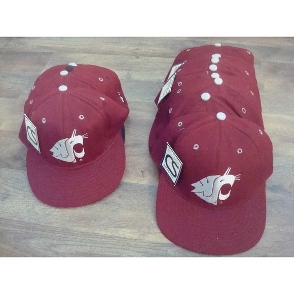 WASHINGTON STATE COUGARS  WHOLESALE LOT‎ 15HATS 80S 90S VINTAGE FITTED USA MADE