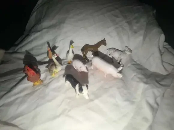 Set of 9 Assorted Miniature Plastic Farm Animal Figurines teachers