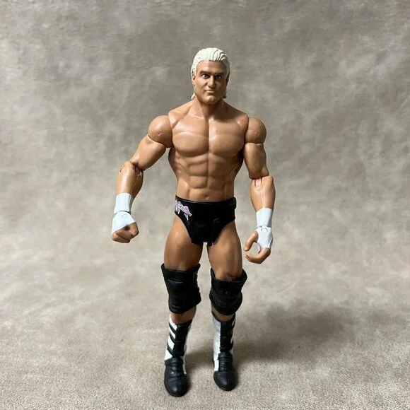 WWE Dolph Ziggler Action Figure, Wrester 2011 Mattel