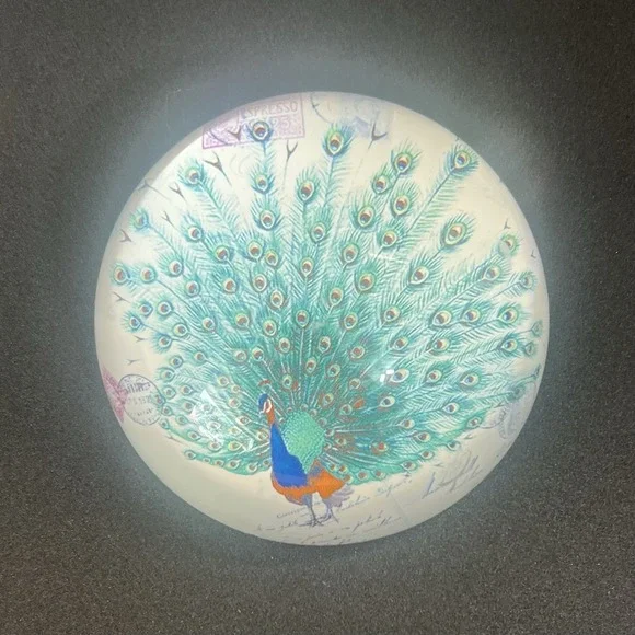 Pier 1 Paperweight Domed Clear Glass Peacock Postcard 3 7/8