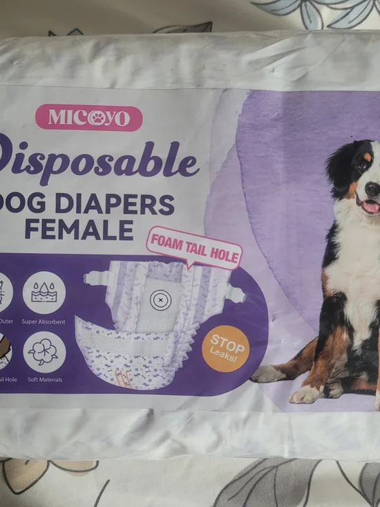 Disposable Female Dog Diapers - Purple