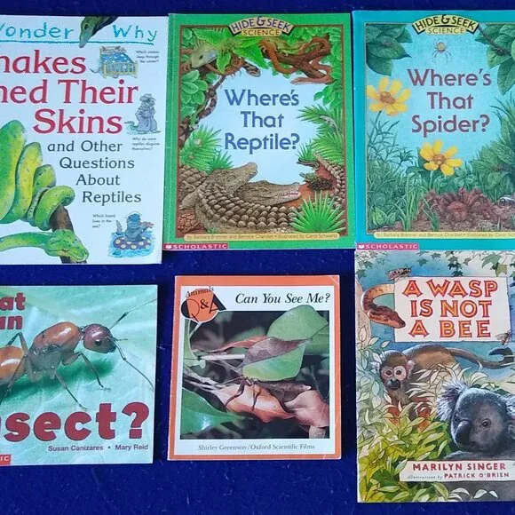 A wasp is not a bee + Spider + Reptiles + Wasp + Insect,  Science Books x 6 Set