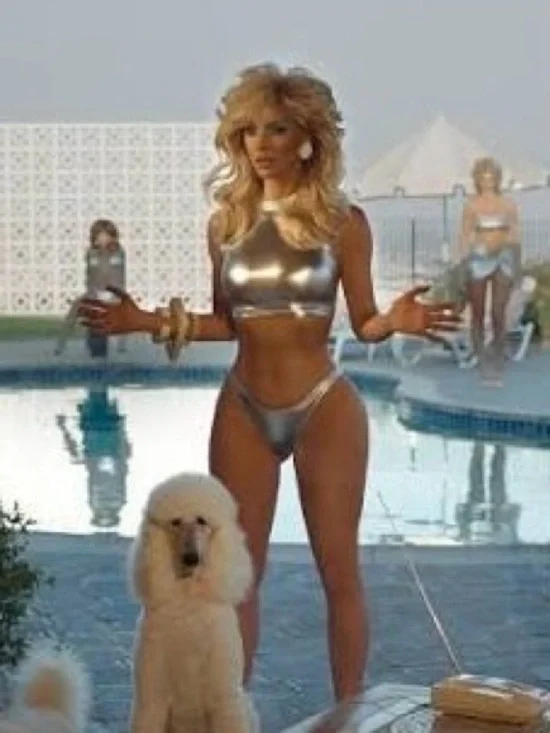 NWT! SKIMS Limited Edition - Metallic Swim - Nickel / Silver Bikini Set