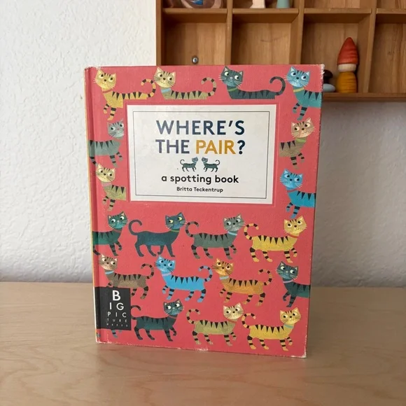 Where's The Pair? Spotting Book - Children’s Hardcover Book