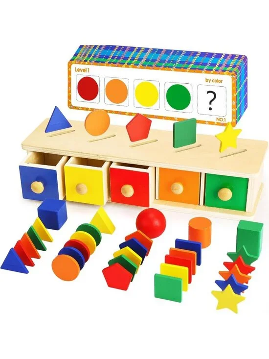 Wooden Montessori Color & Shape Sorter Toy for Toddlers, Preschool Learning Gift