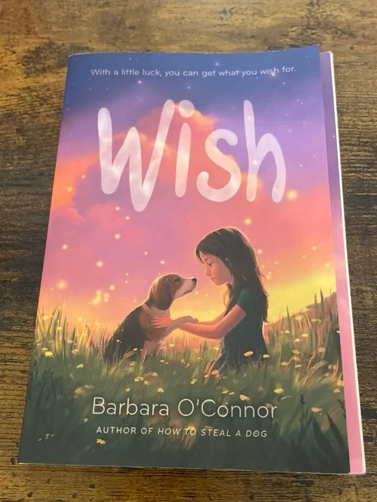 Wish By Barbara O'Connor~ Preowned