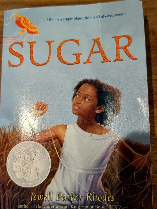 Sugar Illustrated Children's Book - Blue Cover with Orange Title