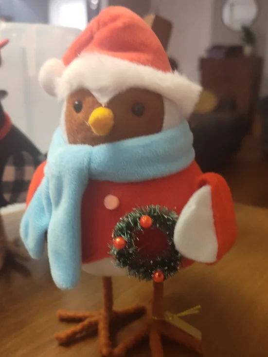 Target Bird