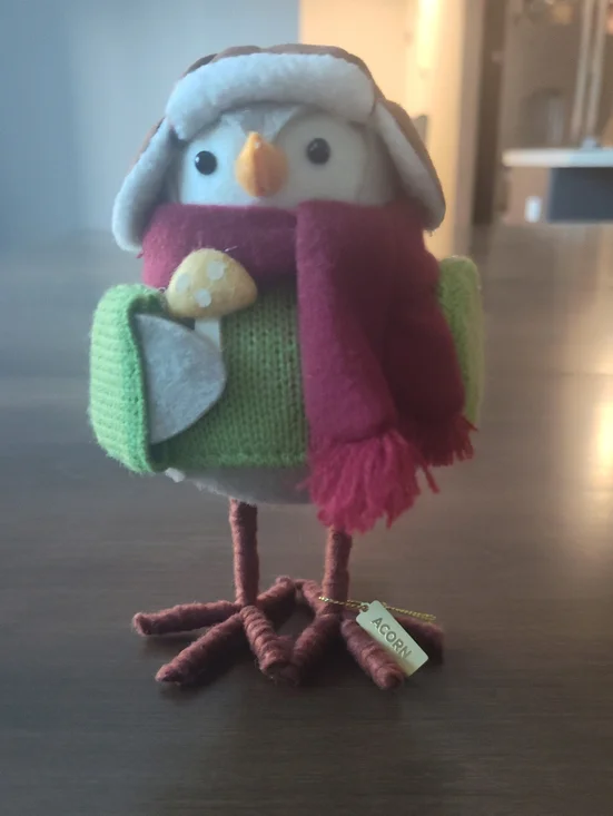 Target Bird