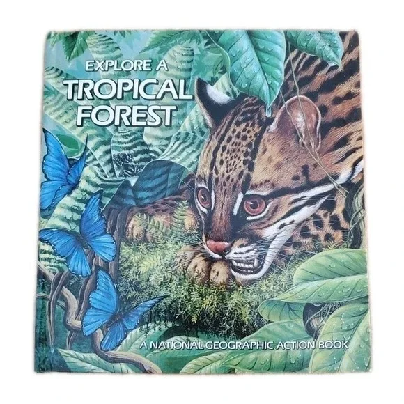 Pop-Up: Explore a Tropical Forest by Peggy D.‎ Winston (1989, Hardcover Vintage)