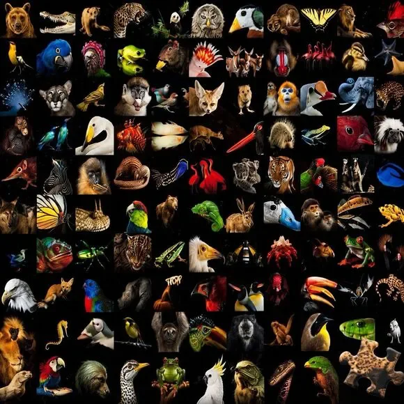 Ravensburger 99 Animals Puzzle 1000 Piece‎ Wildlife Safari Nature Art Collage