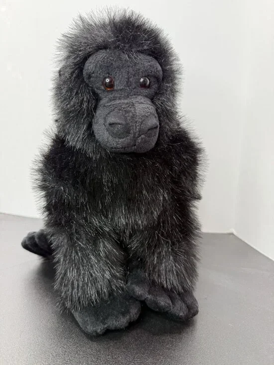 Aurora Black Gorilla 13