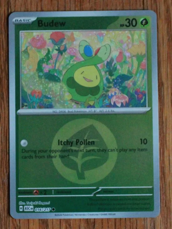 Pokemon 
