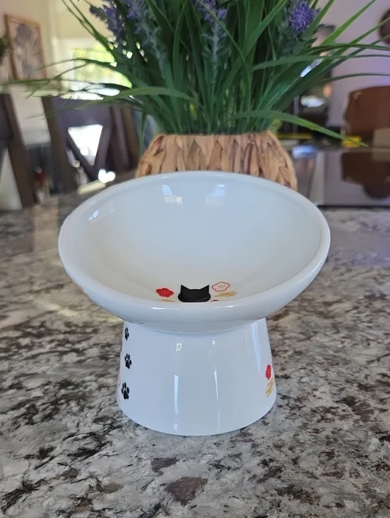 Necoichi Tilted Food Bowl