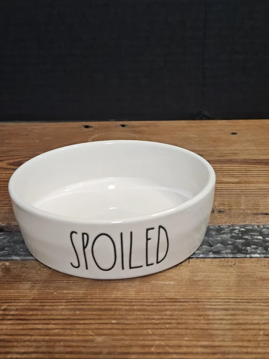 Rae Dunn White Ceramic Pet Bowl with 