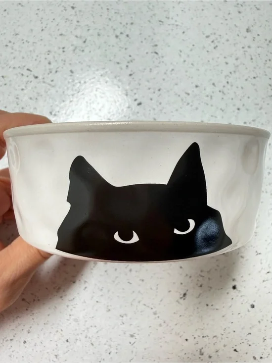 Cute Ceramic Cat Food / Water Bowl – Black Cat & Fishbone Print