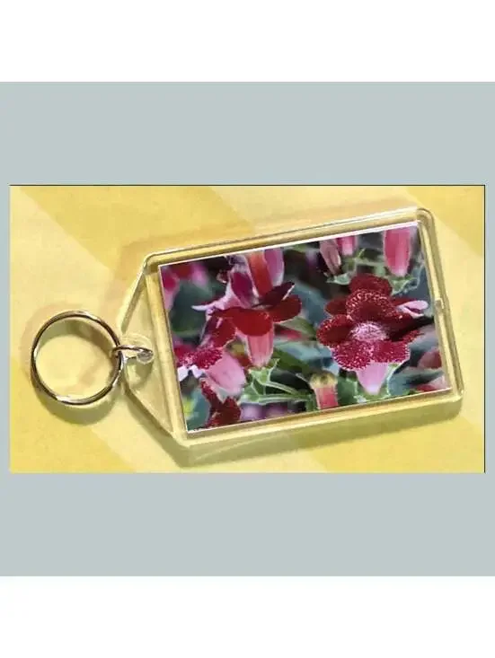 3702 Kohleria Acrylic Keychain | Floral Keychain | Flower Lover Gift