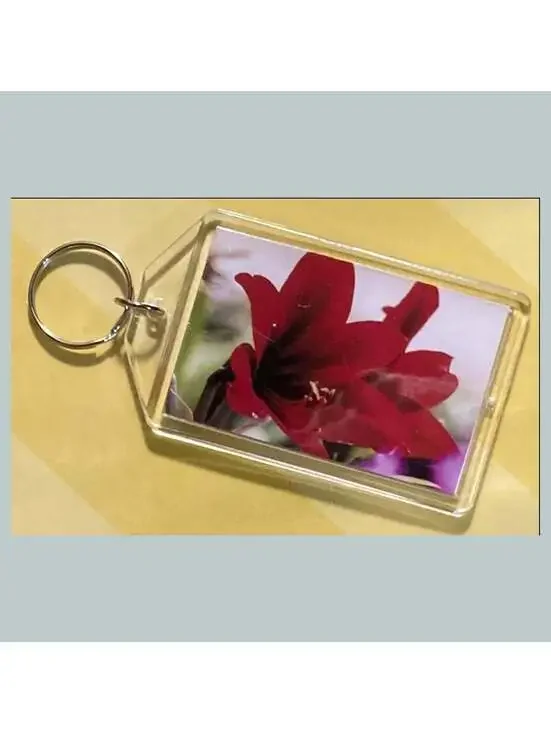 3684 Amaryllis Acrylic Keychain | Floral Keychain | Flower Lover Gift