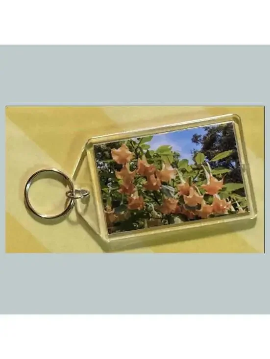 3683 Angel's Trumpets Acrylic Keychain | Floral Keychain | Flower Lover Gift