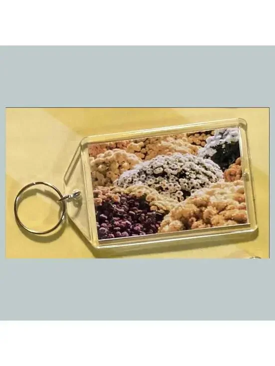 3681 Chrysanthemums Acrylic Keychain | Floral Keychain | Flower Lover Gift