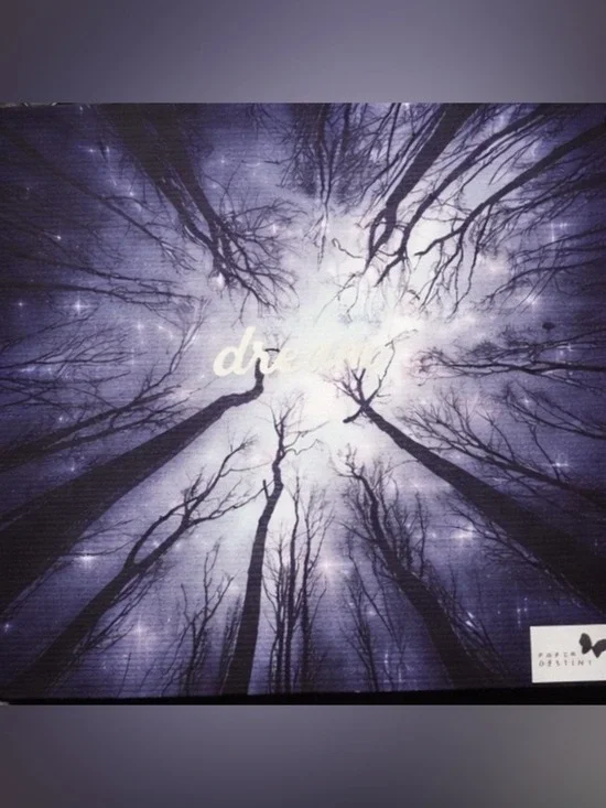 Papyrus Canvas Art “Dream” by Paper Destiny 11” x 9”