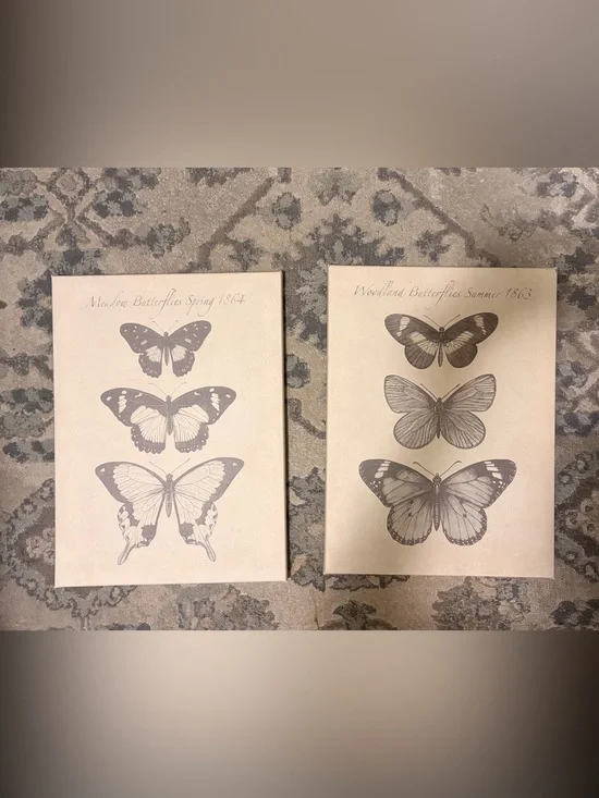 Vintage Butterfly Wall Art Prints in Beige and Gray - Unbranded