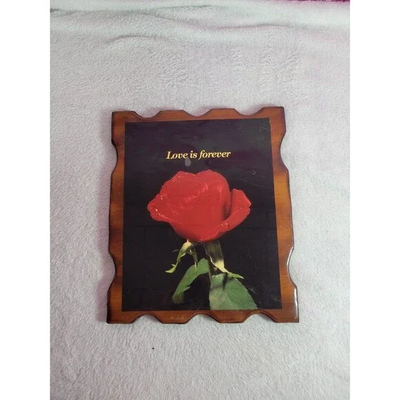 Love Is Forever Vintage Rose Wooden Wall Picture Decor 9