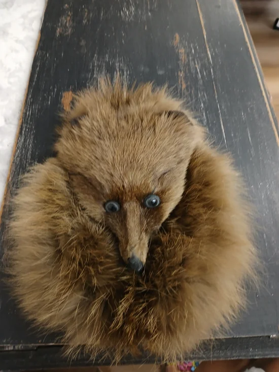 Antique Authentic Fox Scottish Sporran