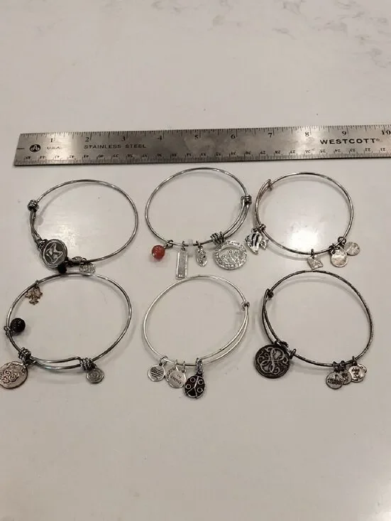 Alex And ANI Mixed Silver-Tone Charm Bangle Bracelet Set - Six Pieces..