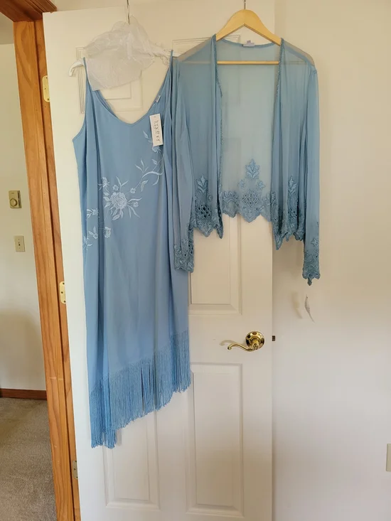 Elegant Blue Slip Dress with Sheer Embroidered Cover-Up - Brand Unspecified