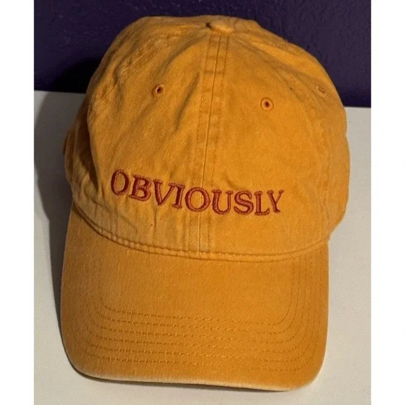 Lake Street Dive Obviously Tour Promo Hat Cap Snap Back Extremely Rare