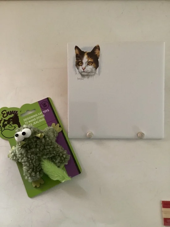 Kitty Theme Recipe/card holder and cute cat toy
