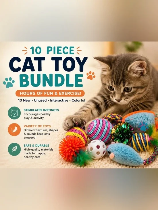 Cat Toy Bundle Lot of 10 New Unused Interactive Cat Toys