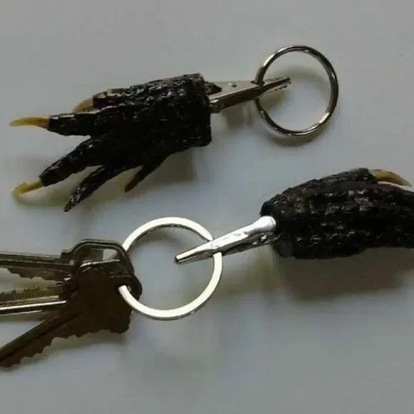 Louisiana Alligator Foot Claw Taxidermy with Alligator Clip and Key Ring 2