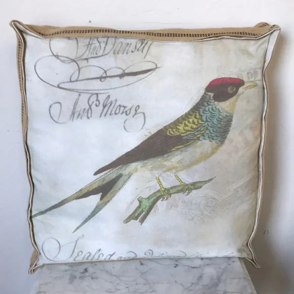 NWOT French Naturalist Bird Box Pillow