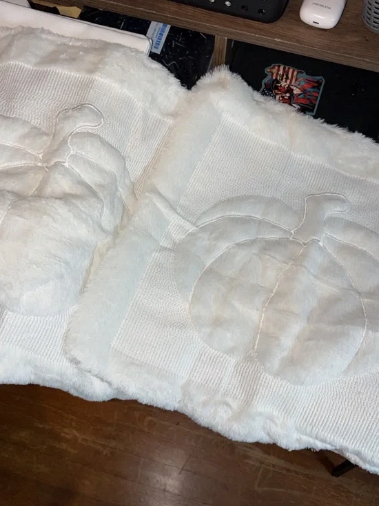 Plush White Pumpkin Applique Decorative Pillow Covers (Pair)