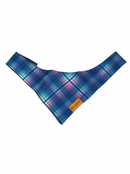 Rocky & Snowball Plaid Pet Bandana Blue Pink Plaid Size Small