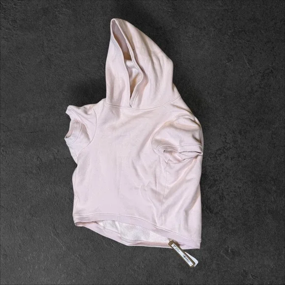 SKIMS Cotton Fleece Pet‎ Hoodie Barely Pink Size 2X