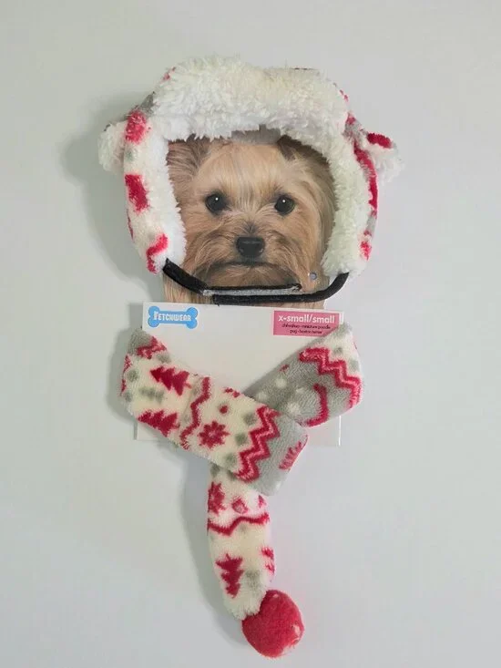 Fetchwear Holiday Dog Hat & Scarf Set – XS/S