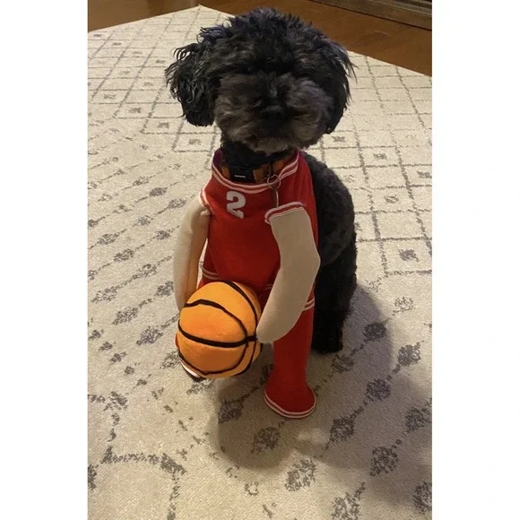 Dog Basketball Player Costume – Funny Sports Outfit for Pets Size Small