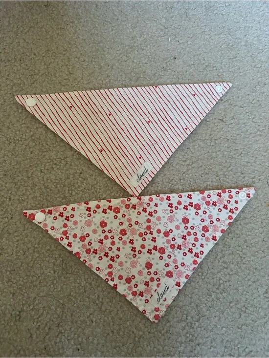 Reversible Red Stripe & Floral Bandana Bib Set