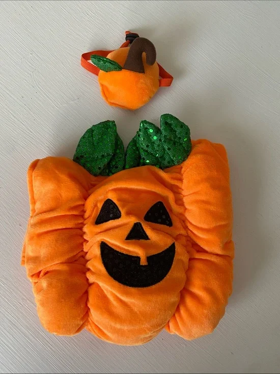 Small Dog Orange Pumpkin Costume with Green Leaf Accent & Hat