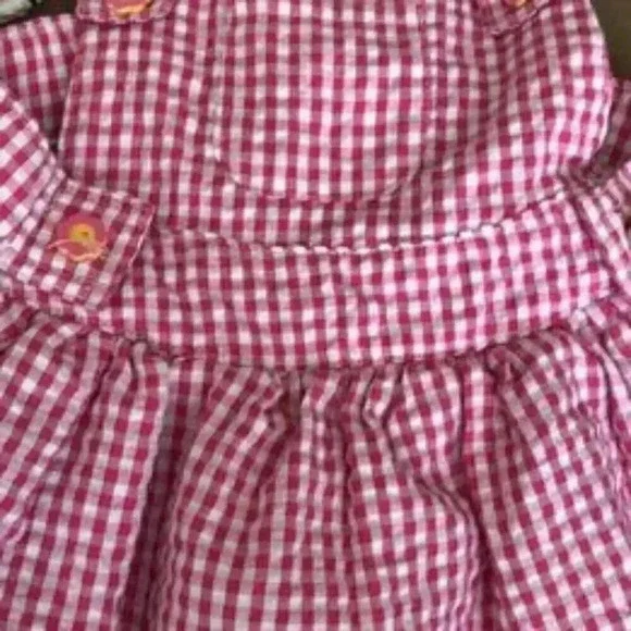Dog Dress Smoochie Pooh Pink Overall checkered