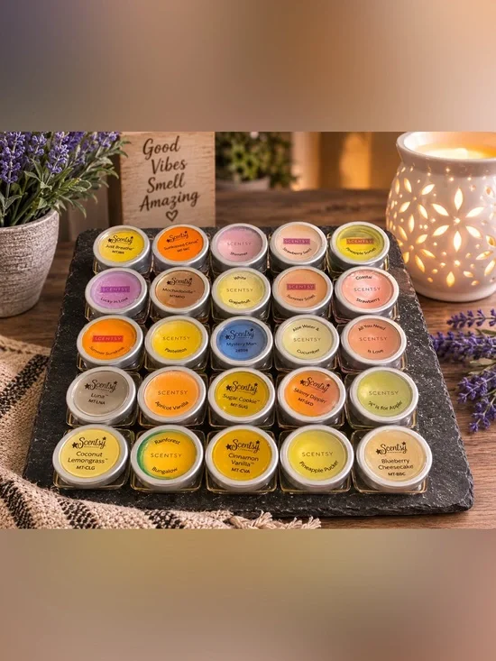 Scentsy Mini Tester Lot 25 Retired Fragrance Samples Wax Melt Bundle Set
