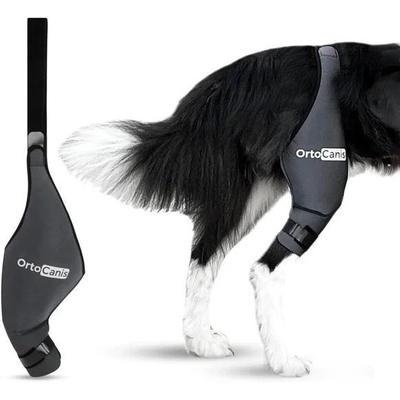 Large‎ Size Dog Knee Brace for Right Hind Leg – Ortocanis ACL Support