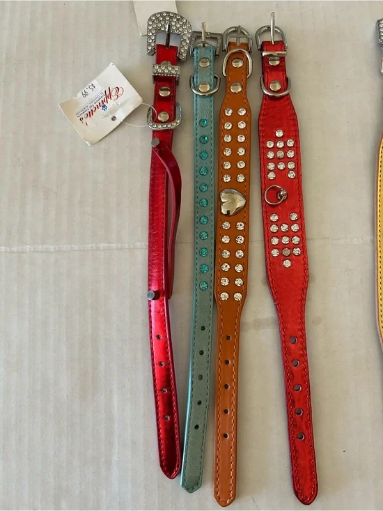 Assorted Studded Leather Dog Collars - Red, Teal, Brown